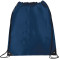 Large Oriole Drawstring Bag