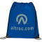 Large Oriole Drawstring Bag